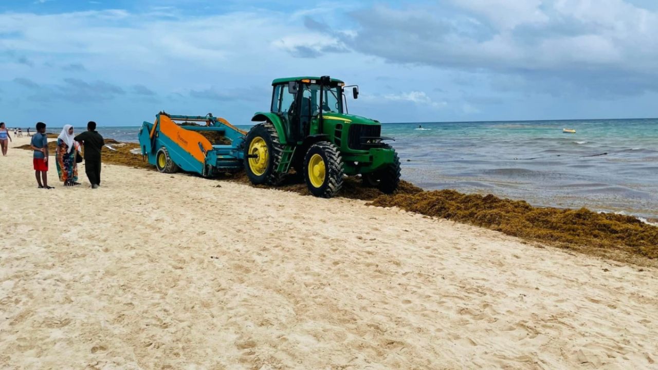 Proponen barreras oceánicas para contención de sargazo en Quintana Roo