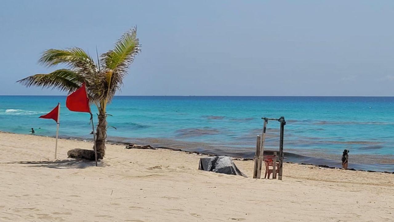 Ola De Calor En Quintana Roo Asará A Habitantes Con Temperaturas De Hasta 40 Grados Heraldo 2048