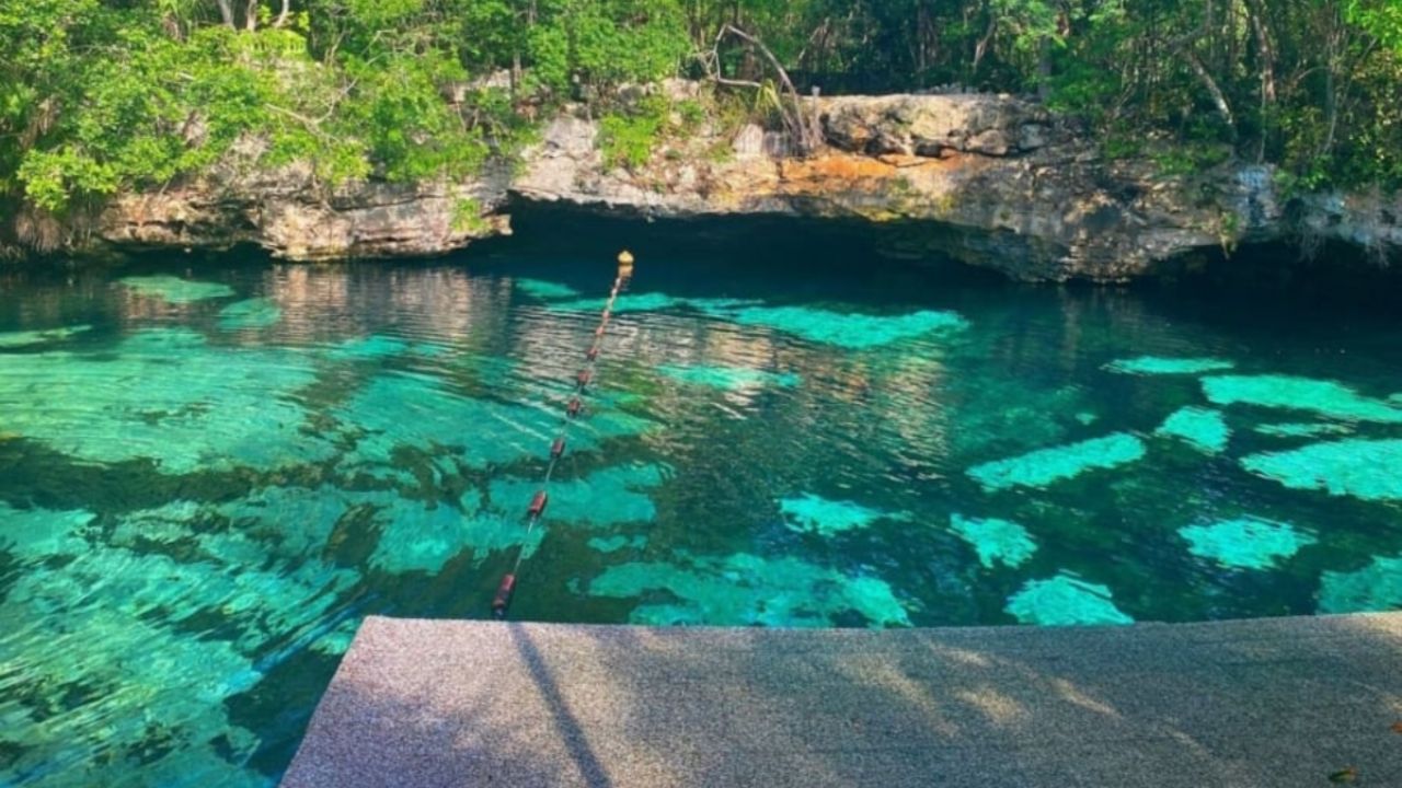 El Cenote de la Riviera Maya famoso por estar a cielo abierto; ¡puedes ...