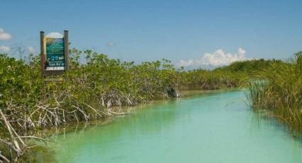 Sian Ka’an cumple 39 años de ser declarada Reserva de la Biosfera; así celebrarán su majestuosidad