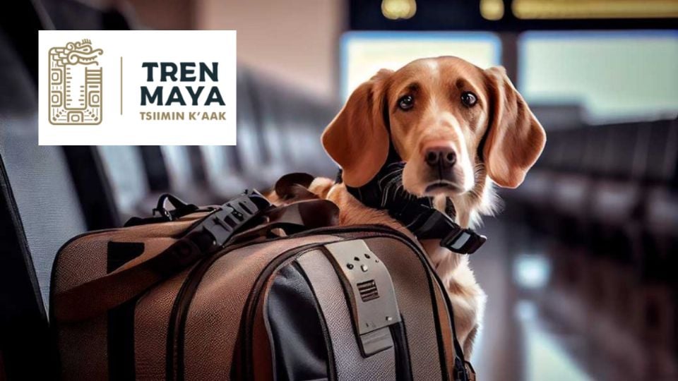 Viaja en el Tren Maya con tu mascota